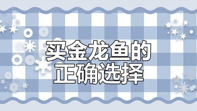 如何判斷過背金龍魚的純度? 龍魚百科 第5張 如何判斷過背金龍魚的純度? 如何判斷過背金龍魚的純度? 龍魚百科 第5張