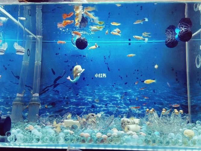 東海龍宮御龍魚缸介紹圖片