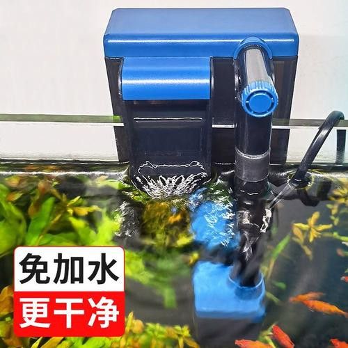 有哪些品牌過濾器適合龜增色龍魚？