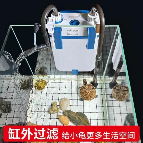 有哪些品牌過濾器適合龜增色龍魚？