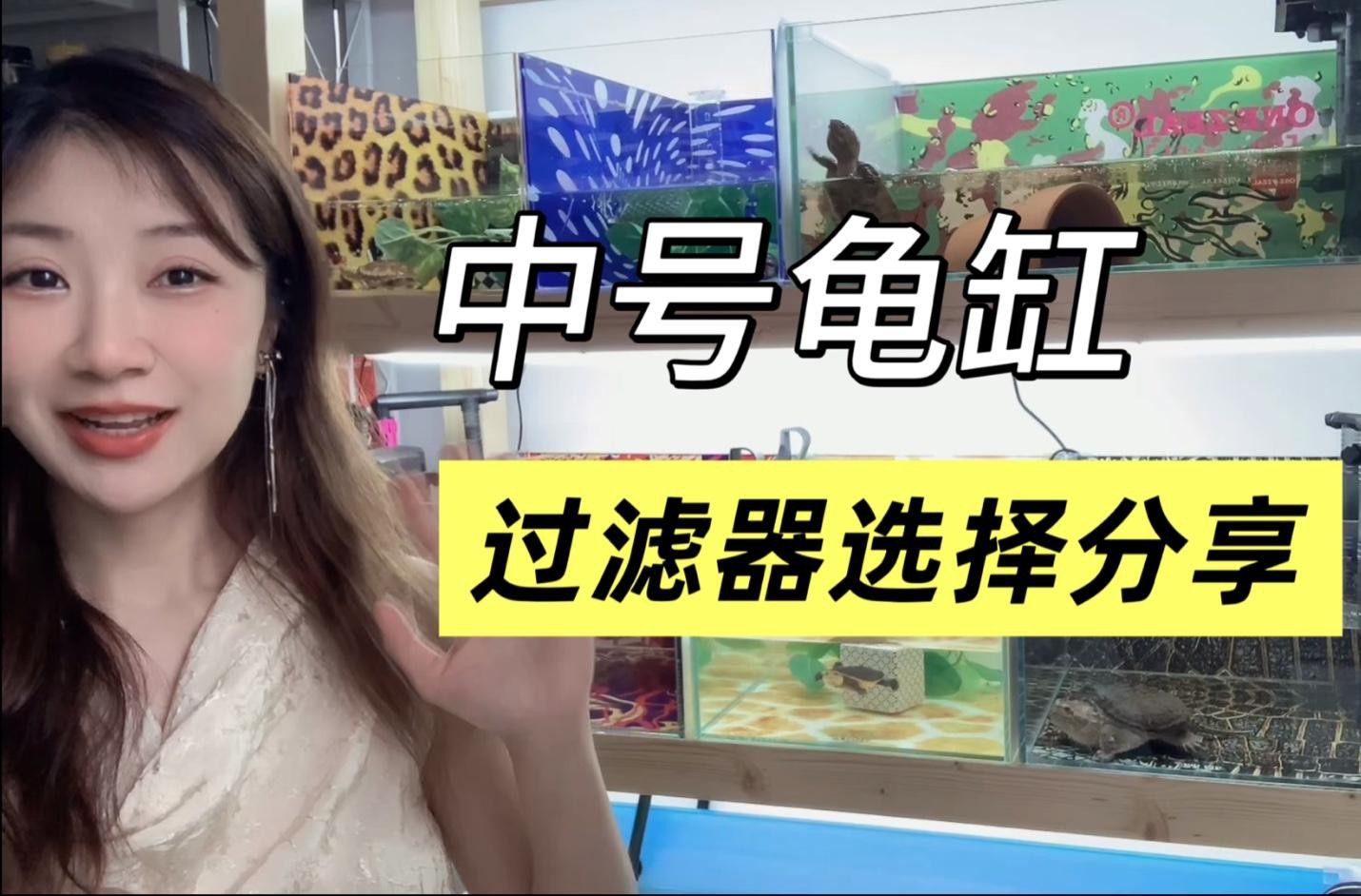 有哪些品牌過濾器適合龜增色龍魚？