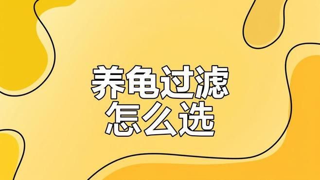 有哪些品牌過濾器適合龜增色龍魚？