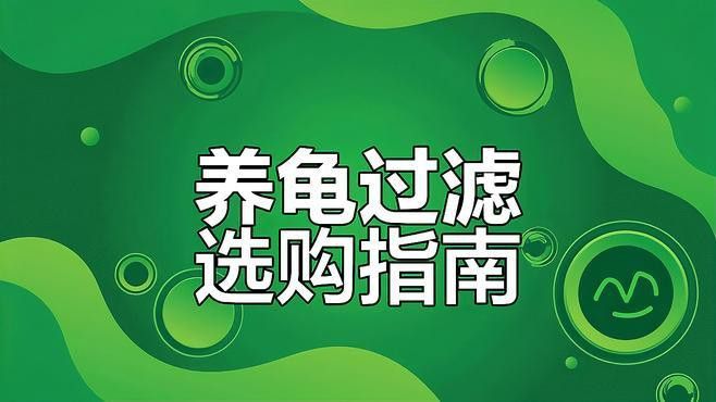 有哪些品牌過濾器適合龜增色龍魚？