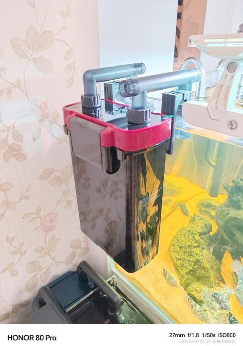 有哪些品牌過濾器適合龜增色龍魚？