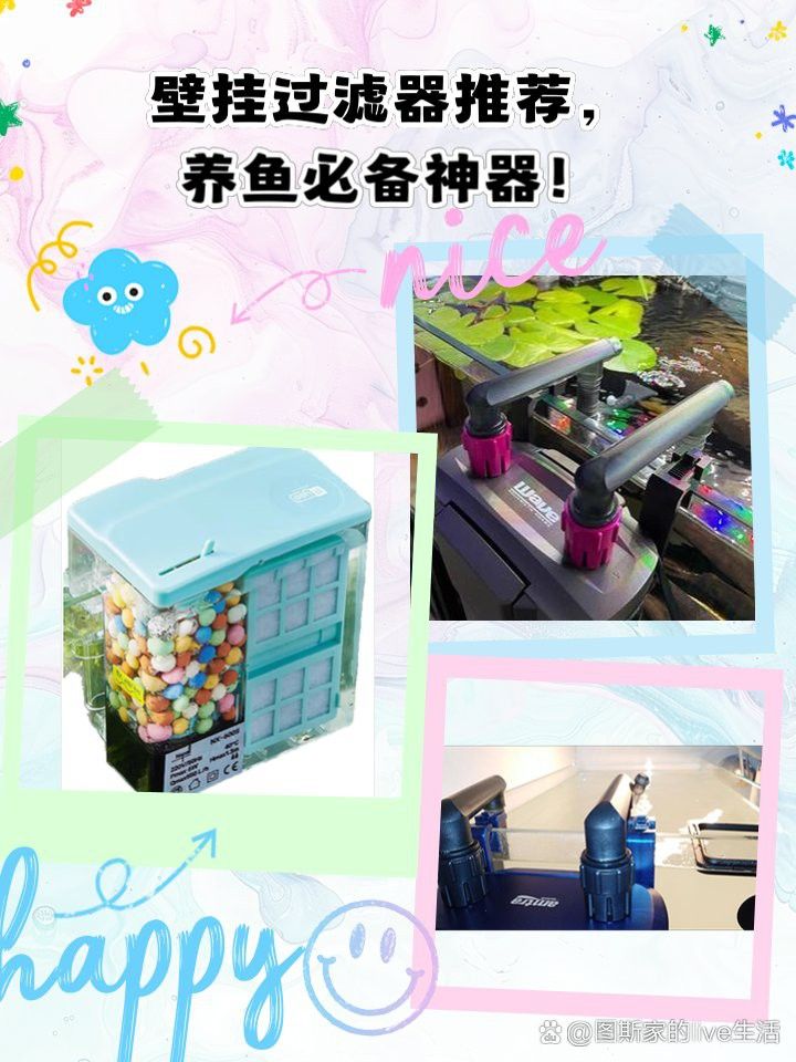 有哪些品牌過濾器適合龜增色龍魚？