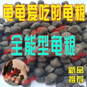 什么牌子的紅龍魚最好看：如何選擇紅龍魚的飼料