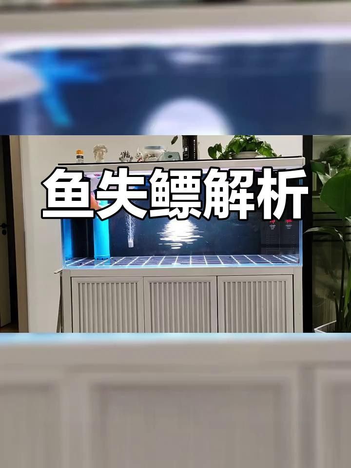 龍魚失鰾癥的成因是什么？ 龍魚失鰾癥的成因是什么？ 龍魚百科 第1張