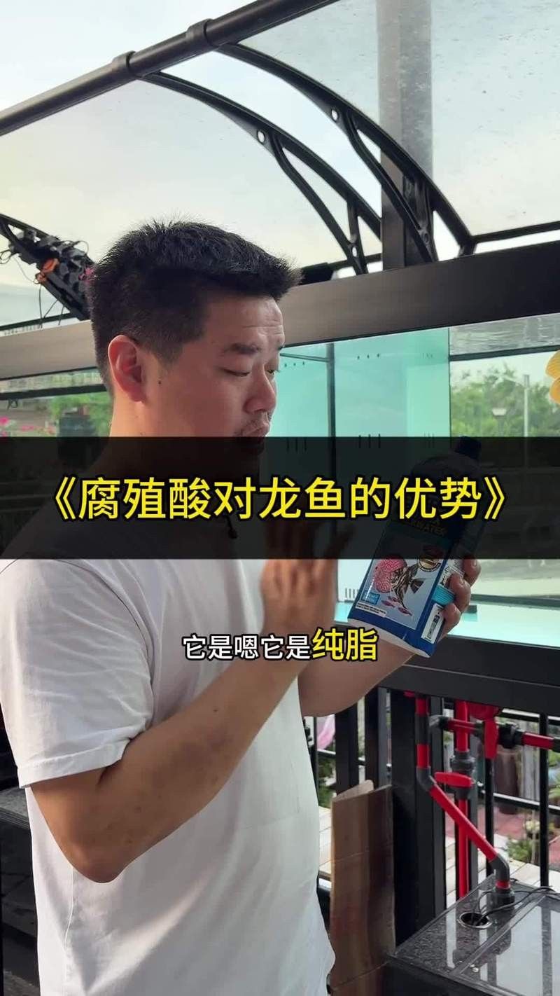 龍魚燒尾后多久會自愈？