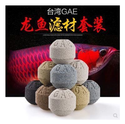 紅龍魚常見疾病及防治方法：紅龍魚常見的疾病以及相應的防治方法 紅龍魚常見疾病及防治方法：紅龍魚常見的疾病以及相應的防治方法 龍魚百科 第3張