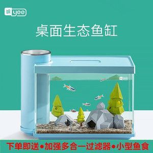 龍魚如何飼養(yǎng)和喂養(yǎng)小魚：如何有效飼養(yǎng)和喂養(yǎng)龍魚