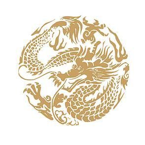 龍圖騰圖案大全 龍圖騰圖案大全 龍魚百科 第19張