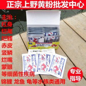 龍魚進口特效藥是什么名字啊：龍魚治療水霉病的方法