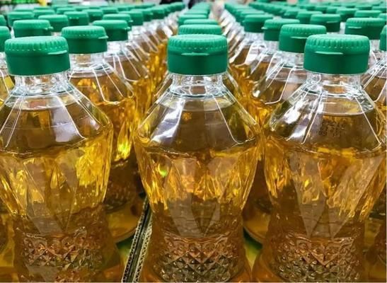 魚缸水發白怎么解決（如何建立完善的硝化系統）