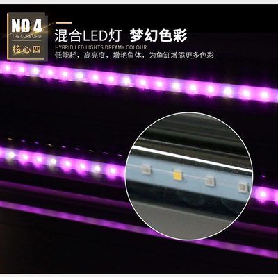 龍魚原生環境：龍魚的分類和分布