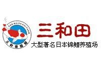 東莞龍魚市場營業時間電話號碼 東莞龍魚市場營業時間電話號碼 龍魚百科 第1張