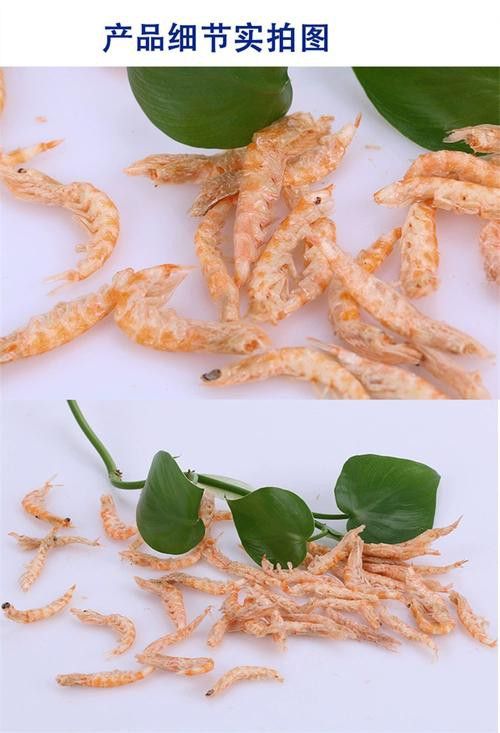 有哪些飼料適合紅龍魚鰓部發色？