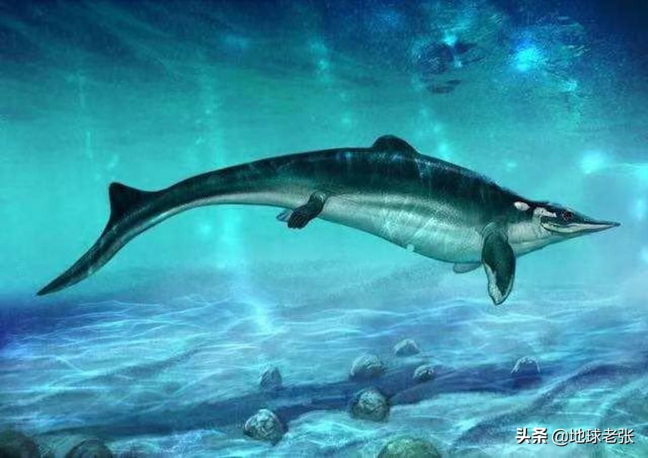魚龍混雜是什么生肖：瑞典隆德大學(xué)地質(zhì)學(xué)家對魚龍化石的研究揭示了這些遠古生物的真實面目