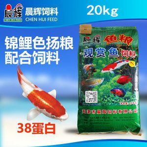 小龍魚(yú)苗吃什么飼料最好養(yǎng)：小龍魚(yú)苗吃什么飼料好養(yǎng)