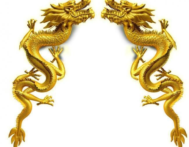 金龍（金龍汽車(西安)有限公司） 金龍（金龍汽車(西安)有限公司） 龍魚百科 第1張