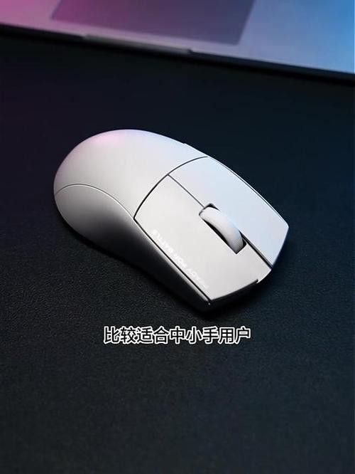 紅龍品牌哪個系列性價比最高？
