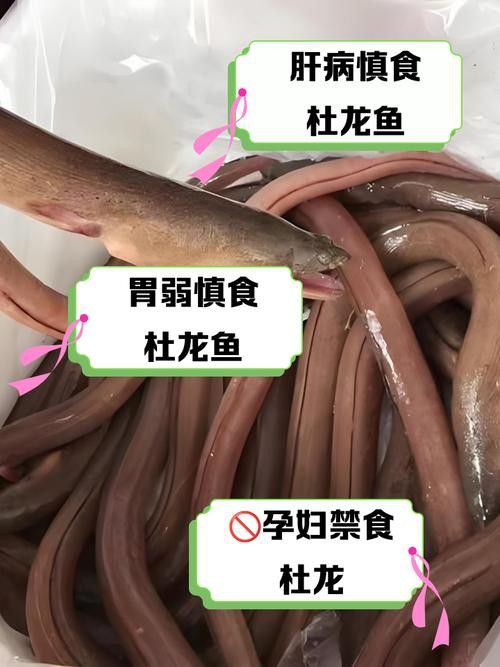 潮汕市場買龍魚是什么魚種