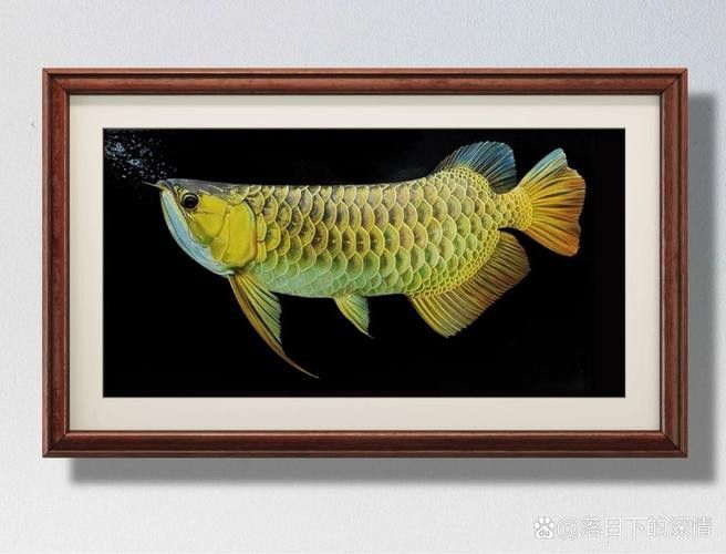 金龍魚立體畫圖片