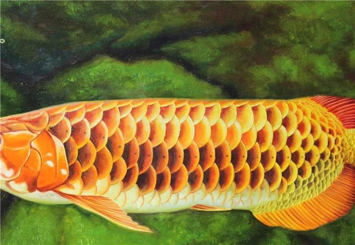 金龍魚立體畫圖片