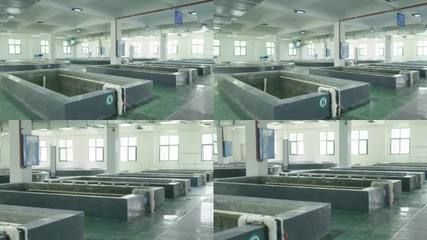 濰坊龍魚養殖場（濰坊龍魚養殖場位于濰坊市奎文區清池街道）