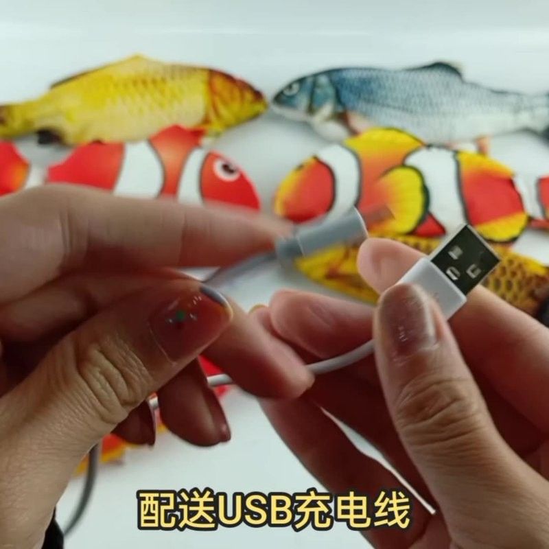 有哪些互動玩具可以訓練銀龍魚？