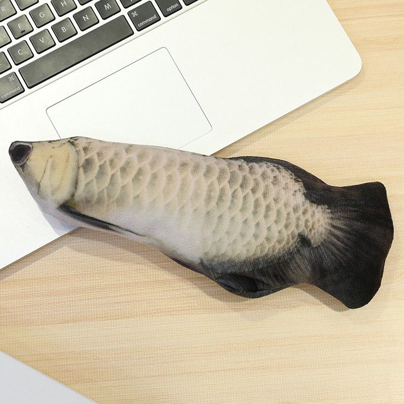 有哪些互動玩具可以訓練銀龍魚？
