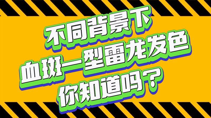 如何判斷雷龍魚是否開始發色？
