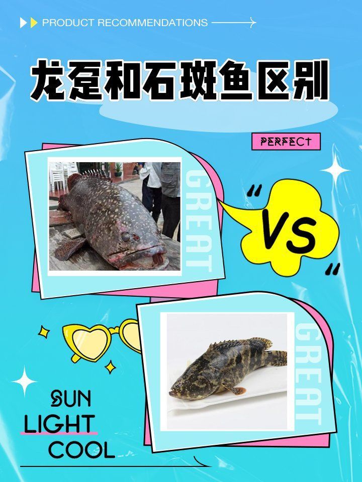 龍騰魚多少錢一斤