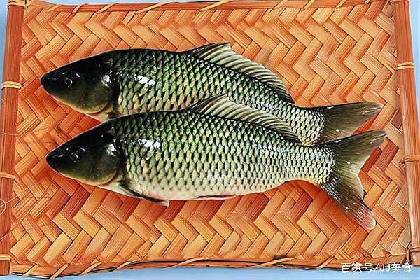 鯉鯽和普通鯽魚(yú)哪個(gè)好