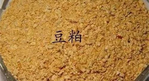 細(xì)線銀版魚繁殖期營(yíng)養(yǎng)需求分析:細(xì)線銀版魚在繁殖期的具體營(yíng)養(yǎng)需求分析 龍魚百科 第5張 細(xì)線銀版魚繁殖期營(yíng)養(yǎng)需求分析:細(xì)線銀版魚在繁殖期的具體營(yíng)養(yǎng)需求分析 細(xì)線銀版魚繁殖期營(yíng)養(yǎng)需求分析:細(xì)線銀版魚在繁殖期的具體營(yíng)養(yǎng)需求分析 龍魚百科 第5張
