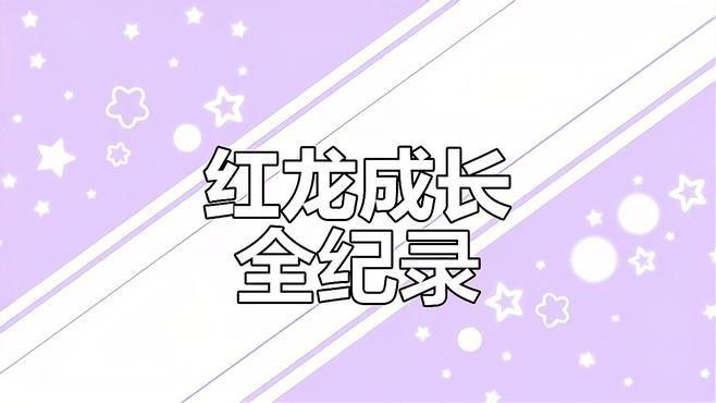 紅龍魚一般能長多大
