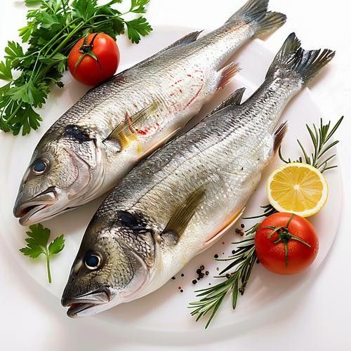 龍魚可以吃銀魚嗎圖片大全