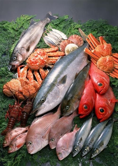 龍魚可以吃銀魚嗎圖片大全