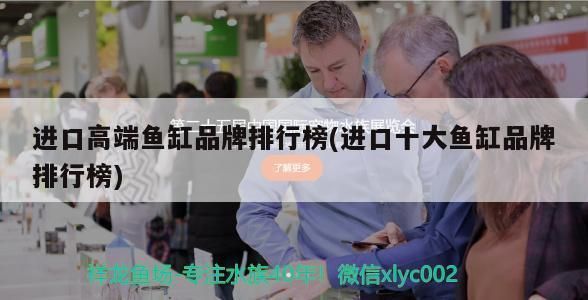 杭州龍魚批發市場在哪個位置呀