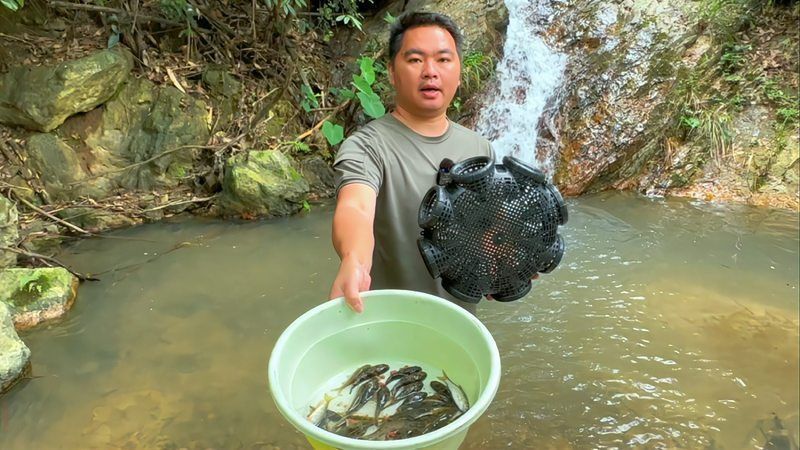 老虎魚(yú)叫什么名字