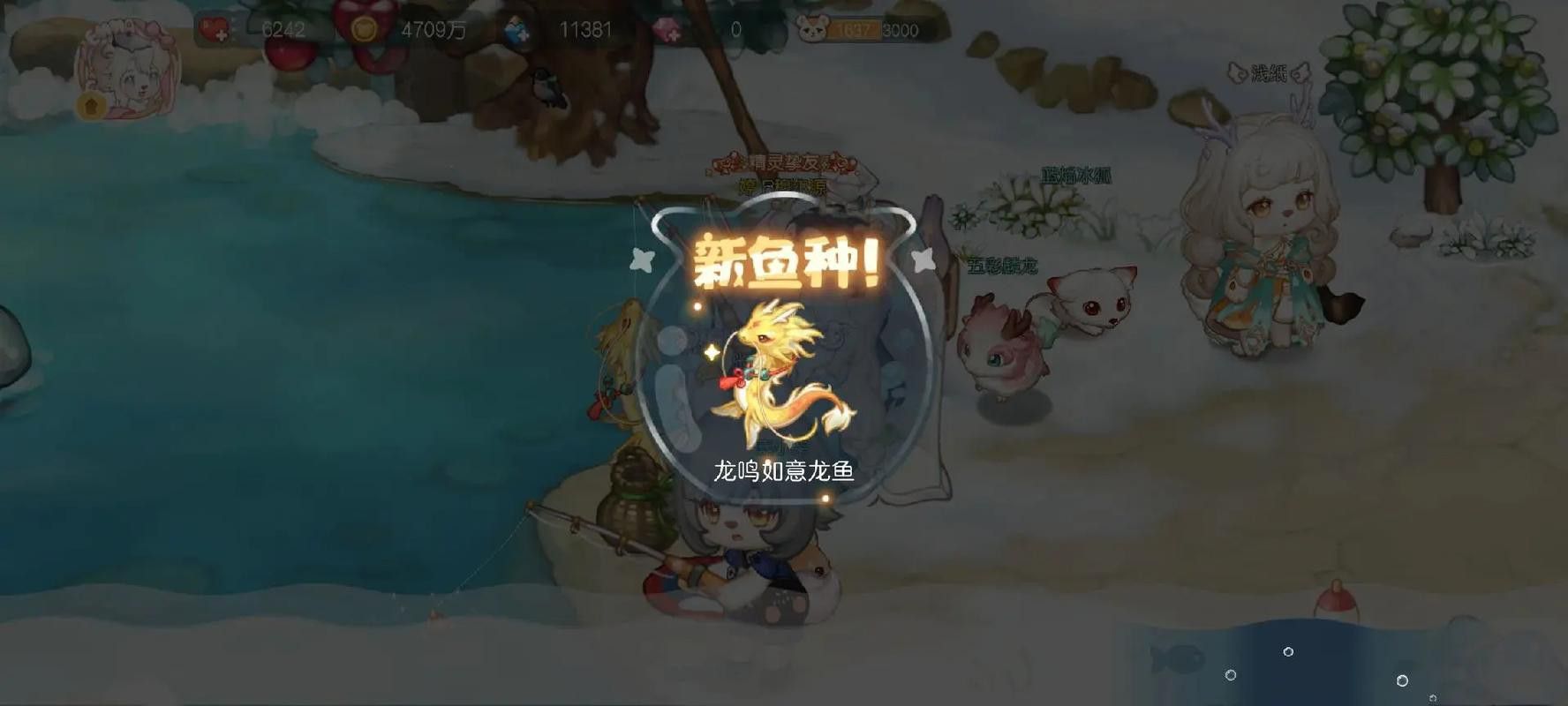 水龍魚(yú)圖片大全高清圖