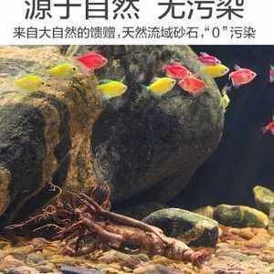 龍魚缸能放底砂嗎（龍魚缸底砂選擇技巧，底砂對龍魚健康的影響）