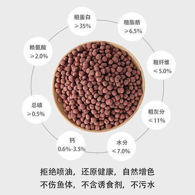 龍魚飼料營(yíng)養(yǎng)價(jià)值分析：如何自制龍魚高蛋白飼料