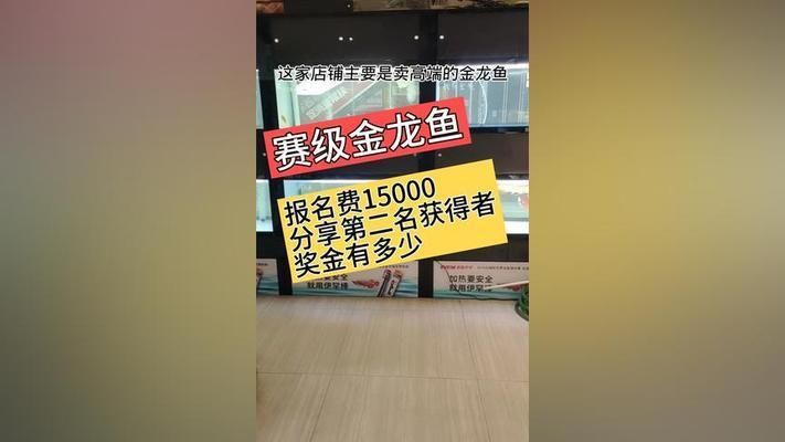 金龍魚(yú)比賽評(píng)判標(biāo)準(zhǔn)最新版是什么（金龍魚(yú)比賽的評(píng)判標(biāo)準(zhǔn)）