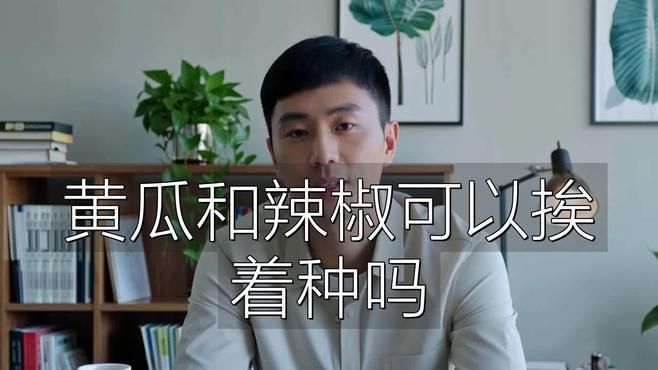 辣椒挨著黃瓜種最好