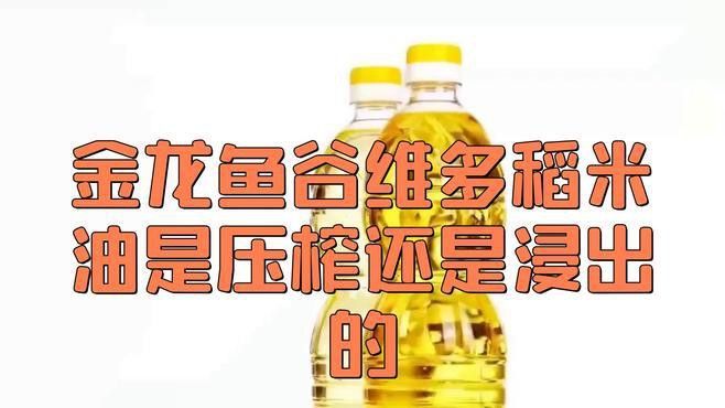 金龍魚是什么做的啊