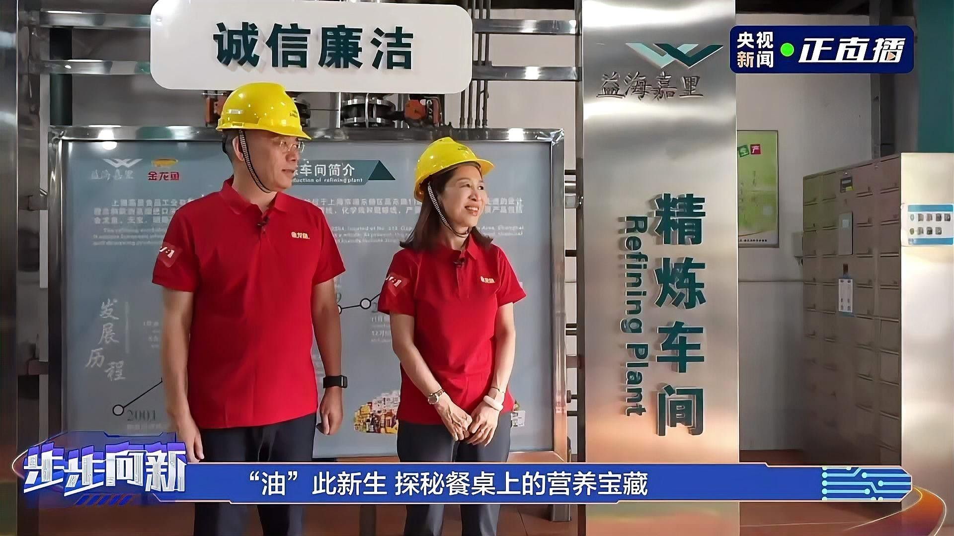 金龍魚是什么做的啊