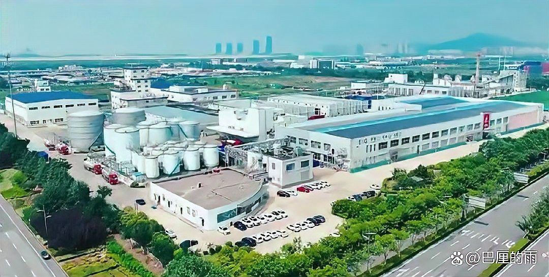 金龍魚是什么做的啊
