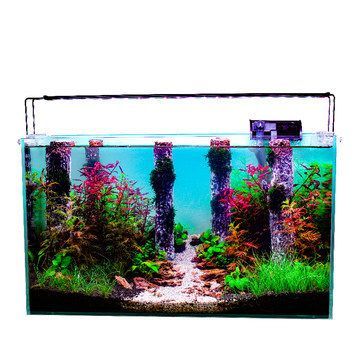 新款魚缸多少錢（魚缸品牌哪個好魚缸材質對比分析）