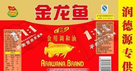 龍魚和鳳魚多大尺寸：龍魚與鳳魚混養(yǎng)指南,觀賞魚缸清潔技巧