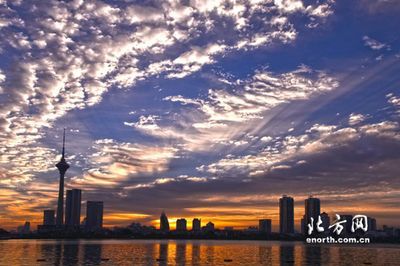 龍魚(yú)組合成一個(gè)網(wǎng)名叫什么好聽(tīng)（龍魚(yú)組合網(wǎng)名可以叫做“龍游四海”或“龍騰九洲”）